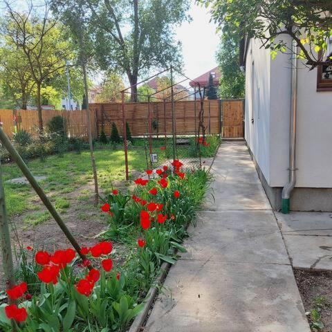 Ujszeged Apartman Luaran gambar